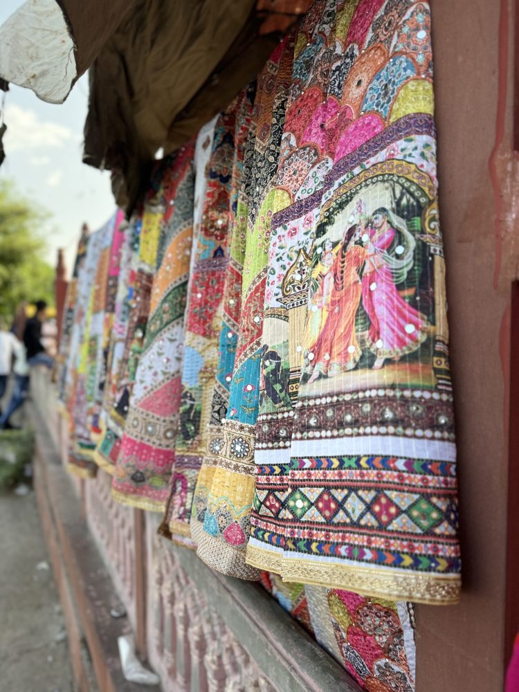 Destiny Holiday Rajasthan 3