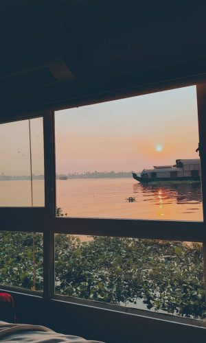 e7703044-eb84-45f9-8955-ed8fa94dc772